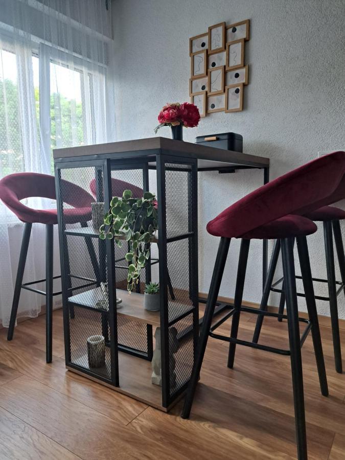 Apartman Twins Self Check In & Self Check Out Otočac Εξωτερικό φωτογραφία